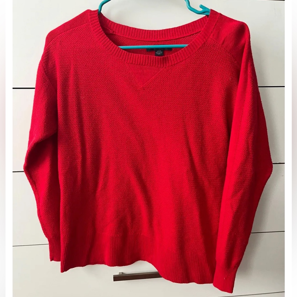 American Eagle Outfitters Red V-Neck Sweater
